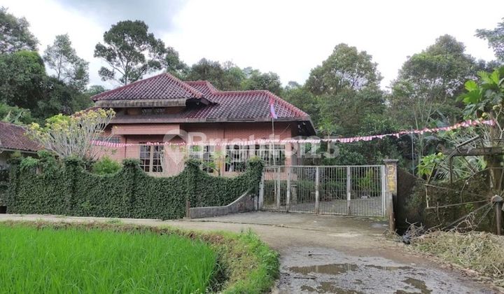 DIJUAL VILLA BISA UNTUK ISTIRAHAT DAN INVESTASI
