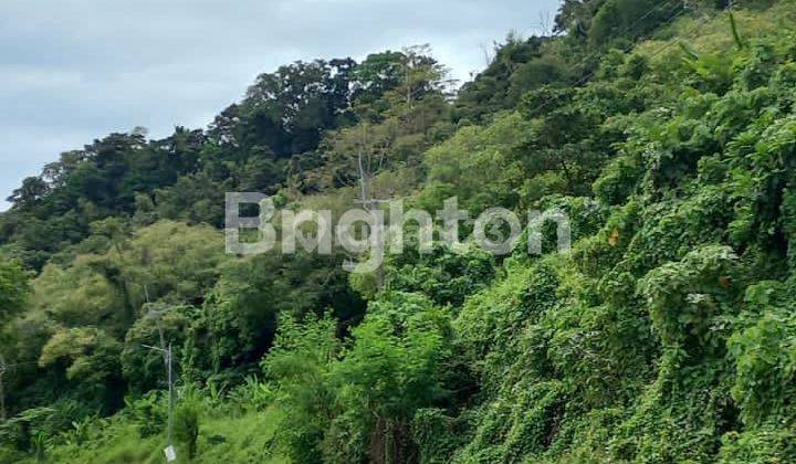 Tanah  di pinggir pantai dan bukit tanjung lesung ( shm ) 2