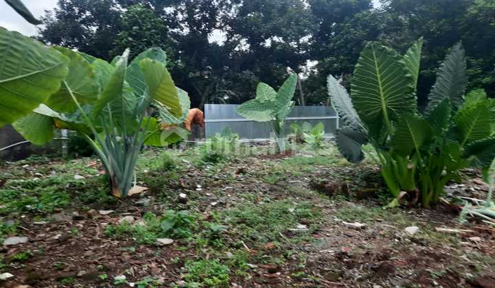 Tanah dan Bangunan Lokasi Sangat Strategis Zona Komersial Harga Dibawah NJOP di Cilandak, JakSel 