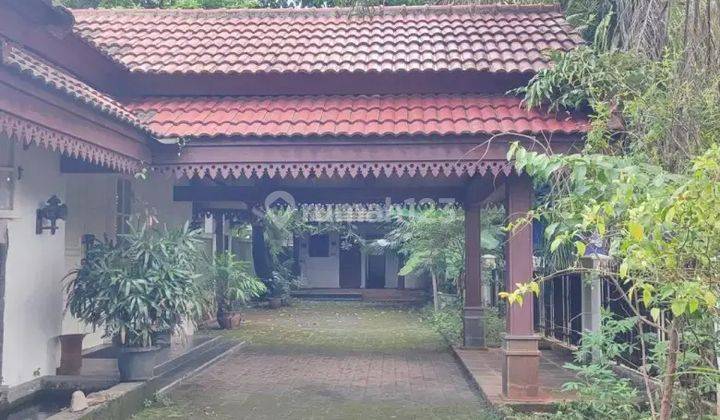 Rumah Asri Lingkungan Nyaman Harga di Bawah Njop di Mampang Prapatan 1