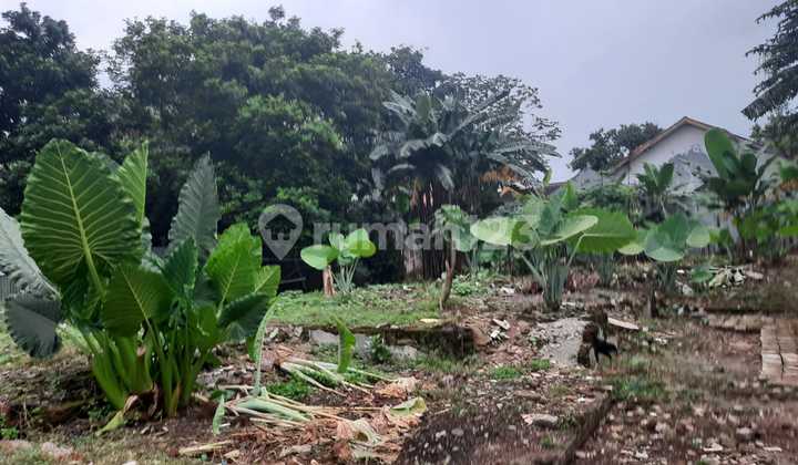 Tanah dan Bangunan Lokasi Sangat Strategis Zona Komersial Harga Dibawah NJOP di Margasatwa, Cilandak, Tanah dan Bangunan Lokasi Sangat Strategis Zona Komersial Harga Dibawah NJOP di Margasatwa, Cilandak,