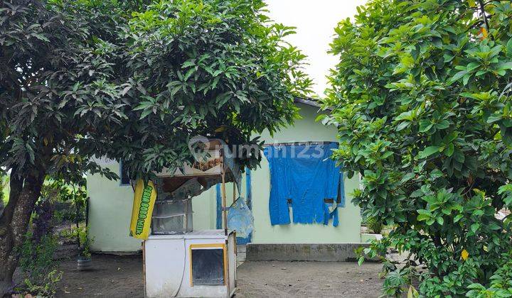 Dijual Rumah Murah Dapat Dua Dengan Lingkungan Nyaman Dan Asri di Deli Serdang 2