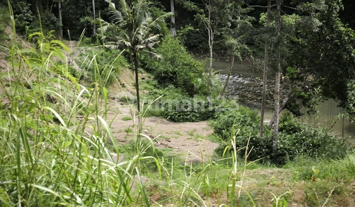 River View Land - Siring Terrace 7280 M² Ready to Build in Gianyar, Bali River View Land - Siring Terrace 7280 M² Ready to Build in Gianyar, Bali