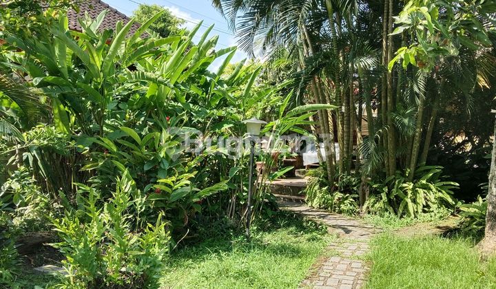 Tanah di TUMBAK BAYUH, Canggu SHM 400.0 m² Tanah di TUMBAK BAYUH, Canggu SHM 400.0 m²