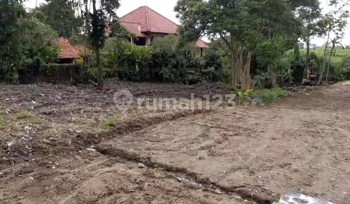 Exclusive Land, Pink Zone 1,500 M² In Pererenan, Tumbak Bayuh - Hot Investment - SHM