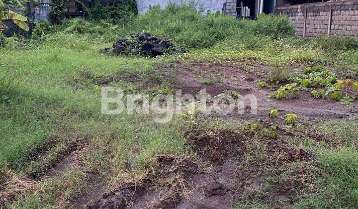Tanah Disewakan Shm 316.0 M² Jl Tukad Petanu, Denpasar Selatan  1