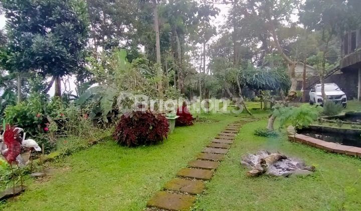 Villa Bagus Dan Luas Di Trawas Siap Huni Villa Bagus Dan Luas Di Trawas Siap Huni