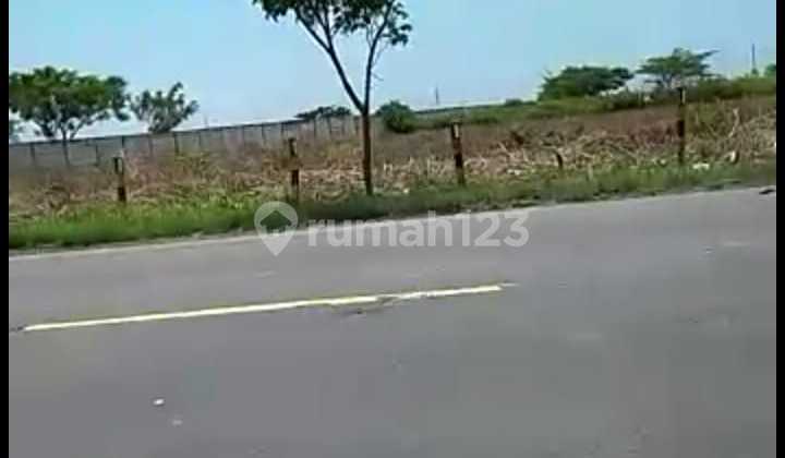 Tanah 4 Ha Cocok Untuk Industri Di Tuban, Jawa Timur Tanah 4 Ha Cocok Untuk Industri Di Tuban, Jawa Timur