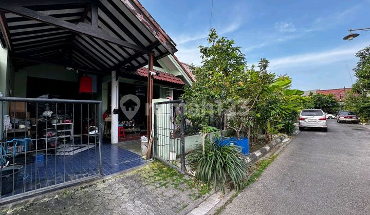 Murah ! Rumah Lebar 9 M, Terawat 1 Lantai Sutorejo