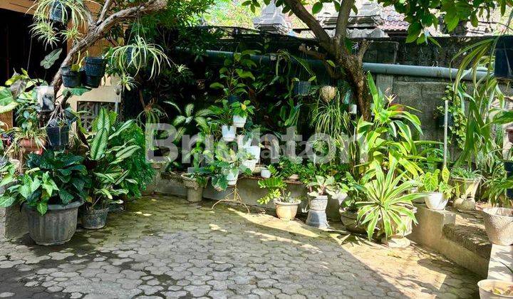 RUMAH ASRI DI TENGAH KOTA DENBAR 1