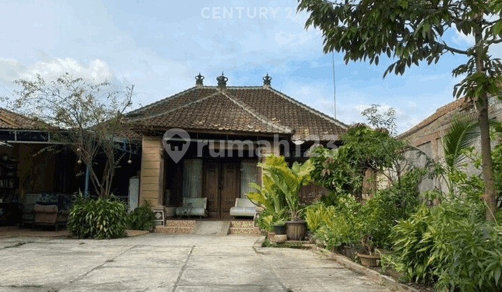 Rumah Pinggir Jalan Utama Model Joglo Di Cireundeu 8234 Rumah Pinggir Jalan Utama Model Joglo Di Cireundeu 8234