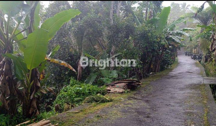 BUC.  Garden land in Jatiluwih 2