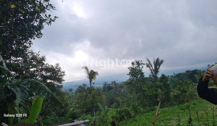  Tanah Sewa di  Jatiluwih View Sawah Terasering 1