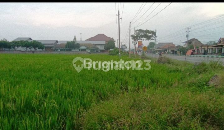 Land Ready for Business in Sragen Land Ready for Business in Sragen