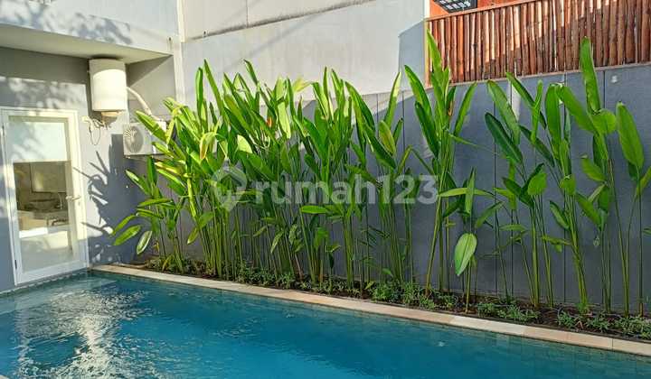 Disewakan Villa Eksklusif 1 Kt Di Nusa Dua, Lokasi Strategis Disewakan Villa Eksklusif 1 Kt Di Nusa Dua, Lokasi Strategis