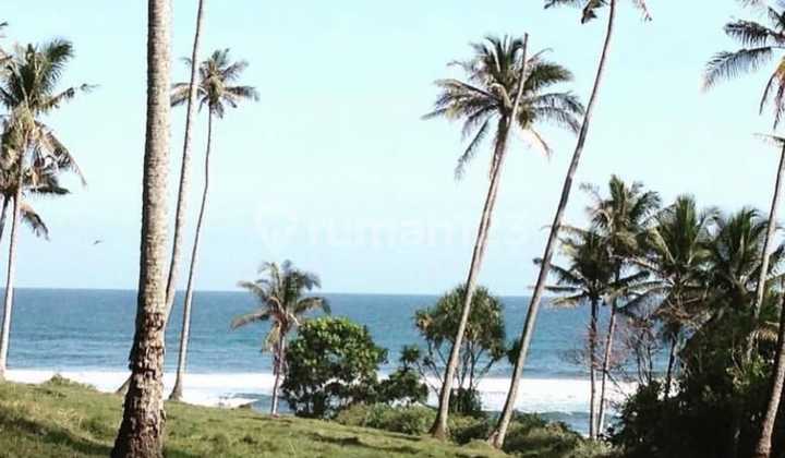 Rare Investment! Ocean View Land In Bonian – Tourism Zone, Installment Option Rare Investment! Ocean View Land In Bonian – Tourism Zone, Installment Option
