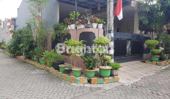 RUMAH HOOK SIAP HUNI DI CLUSTER CENDANA TAMAN RAYA TAMBUN SELATAN BEKASI RUMAH HOOK SIAP HUNI DI CLUSTER CENDANA TAMAN RAYA TAMBUN SELATAN BEKASI