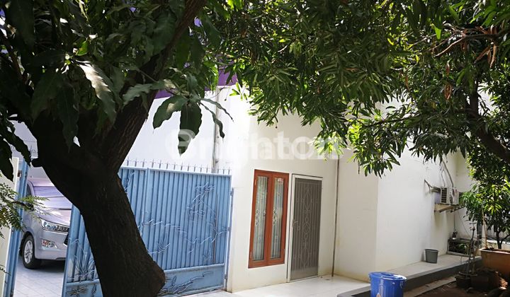 Rumah di tanjung duren