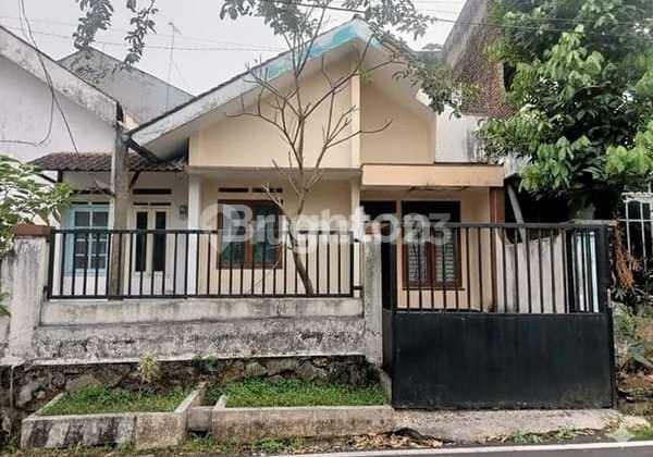 Rumah Minimalis Nego Sampai Deal di Tidar Bawah Kota Malang Rumah Minimalis Nego Sampai Deal di Tidar Bawah Kota Malang