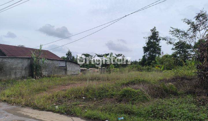 PALEMBANG TANAH JUAL DI TALANG JAMBE  SUKARAME 1