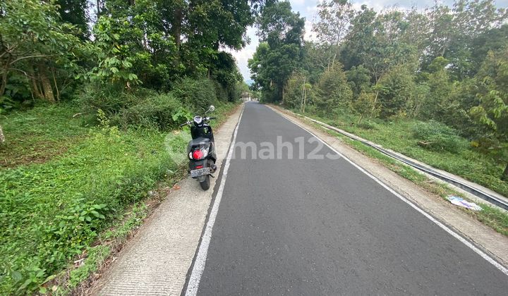 Tanah Produktif 1200m Lokasi Strategis Pinggir Jalan Bandungan 1