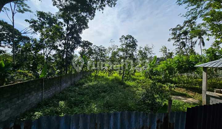 Tanah Pekarangan Datar Dan Subur Di Bergas Bandungan 1