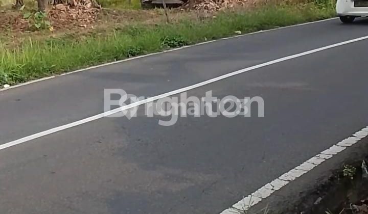 Tanah Datar Shm Pinggir Jalan Raya Bandungan 1