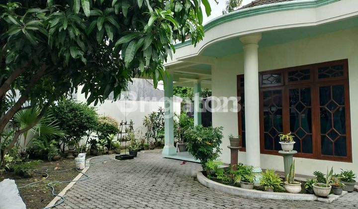 Rumah Shm Luas Dan Lega Strategis Di Tengah Kota Klaten Rumah Shm Luas Dan Lega Strategis Di Tengah Kota Klaten