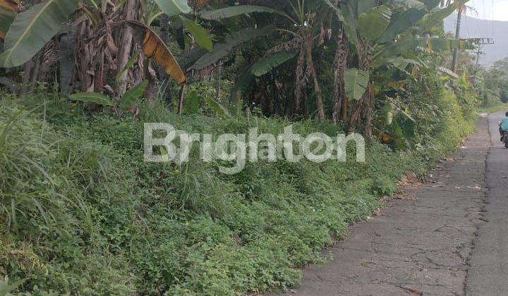 TANAH DATAR SHM DI JALAN RAYA NYATNYONO UNGARAN 2