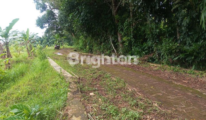 Tanah Darat Shm Luas Dan Siap Bangun Di Patemon Semarang 2