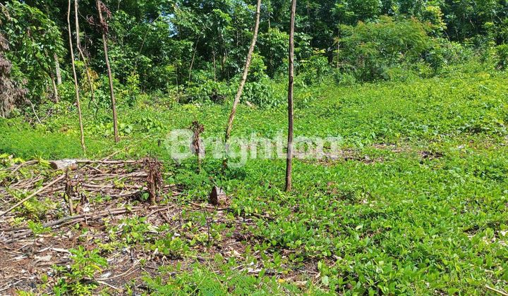 Tanah Darat Shm Luas Dan Siap Bangun Di Patemon Semarang 1