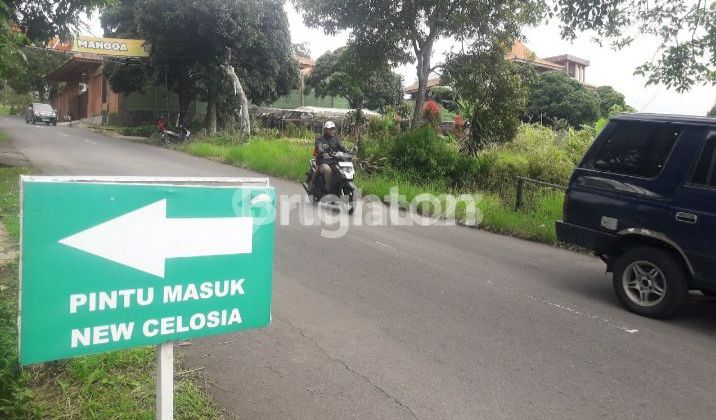 Tanah Datar Shm Berhadapan Dengan Wisata New Celosia Bandungan 2