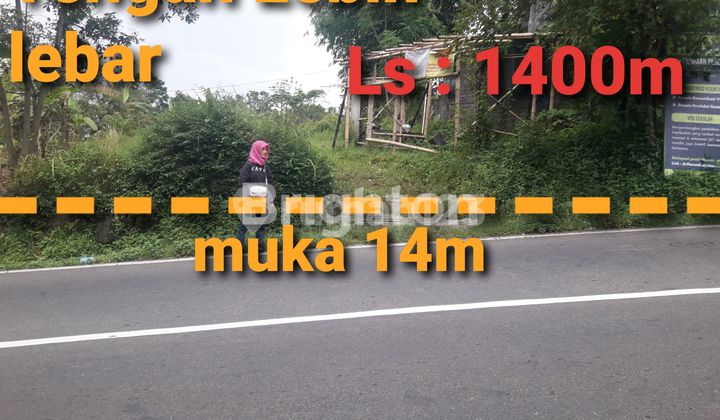 Tanah Datar Shm Pinggir Jalan Raya Bandungan 2