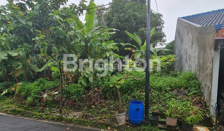 Tanah Kavling Rata Di Perumahan Dekat Undip Tembalang 1