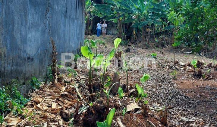 LAHAN UNDIP STRATEGIS INVESTASI TINGGI 2