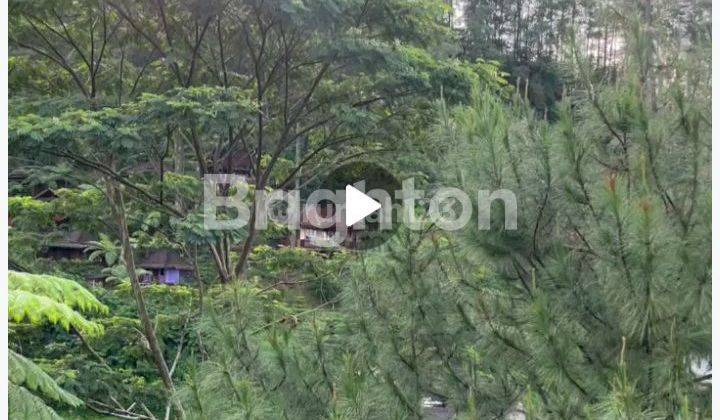 VILLA DI PUNCAK BOGOR DIJUAL DENGAN HARGA  MURAH 1