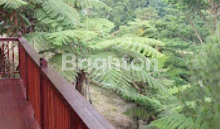 VILLA DI PUNCAK BOGOR DIJUAL DENGAN HARGA  MURAH 2