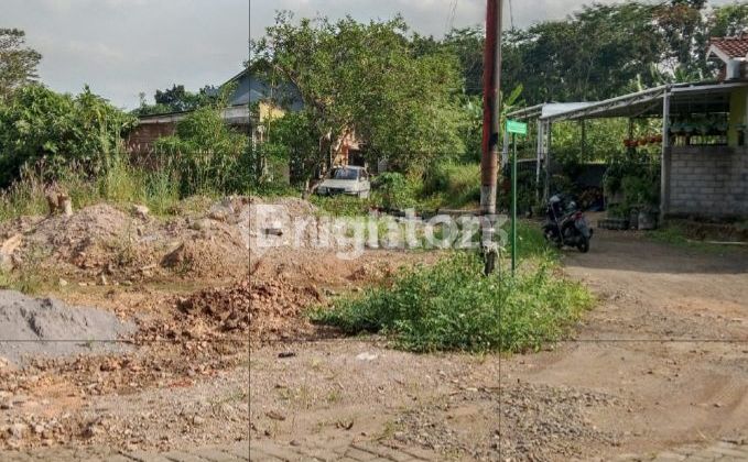 DIJUAL CEPAT TANAH MURAH DI GUNUNG PATI 2