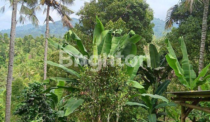 CHEAP LAND NEAR JEMBRANA CITY 2