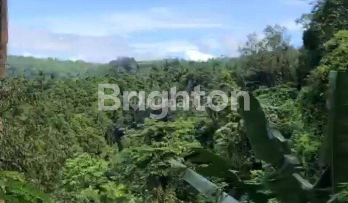 GOOD GARDEN LAND FOR BUSINESS AND ECOLODGE RESORTS 2