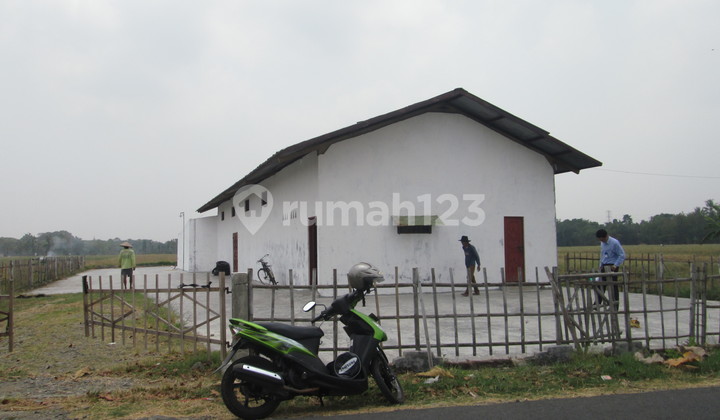 Tanah Murah Bekas Ricemill Di Petarukan Pemalang Tanah Murah Bekas Ricemill Di Petarukan Pemalang