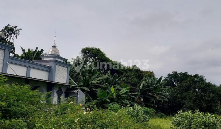 Tanah Murah Untuk Developer Dekat Pasar Cileungsi Tanah Murah Untuk Developer Dekat Pasar Cileungsi