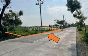 Tanah 10hektar Di Pamotan Rembang Jual Lelang Murah