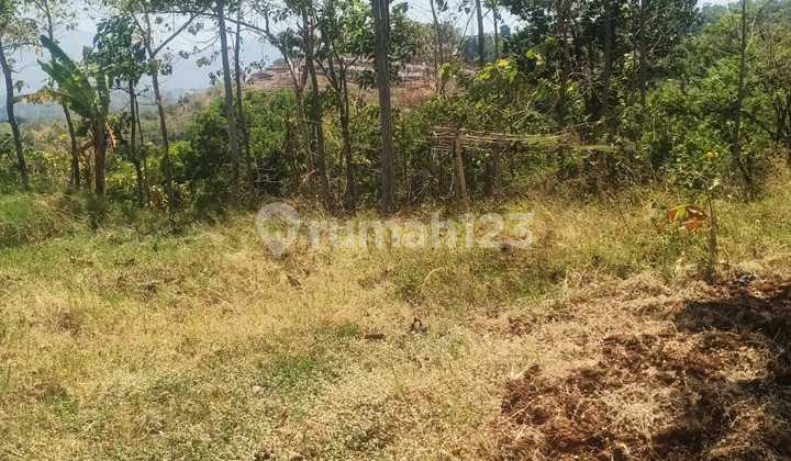 Tanah Murah 120ribu Permeter Di Ciluluk Cijapati