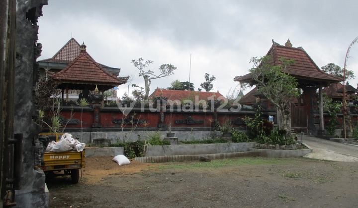 Tanah Kintamani Bali 500Ribu Permeter Lewat Lelang Tanah Kintamani Bali 500Ribu Permeter Lewat Lelang