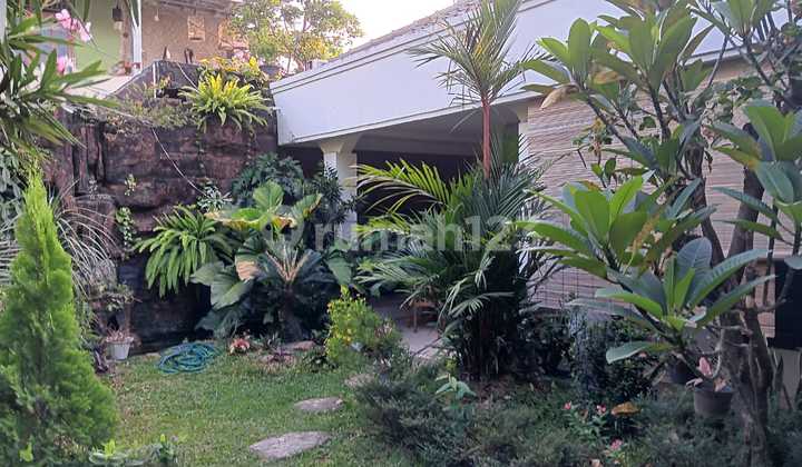 Rumah Murah di Ciracas Segeradi Lelang Bulan Mei Rumah Murah di Ciracas Segeradi Lelang Bulan Mei