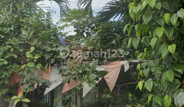 Rumah Murah di Ciracas Segeradi Lelang Bulan Mei Rumah Murah di Ciracas Segeradi Lelang Bulan Mei