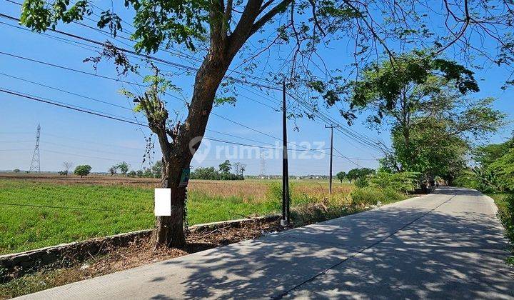 Tanah Sawah Di Jalan Raya Tambelang 2