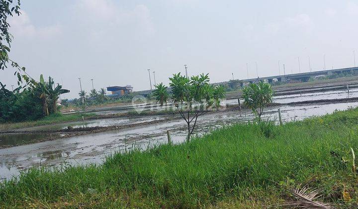 Tanah Kavling 2 Hektar Pinggir Pintu Tol Gabus 2