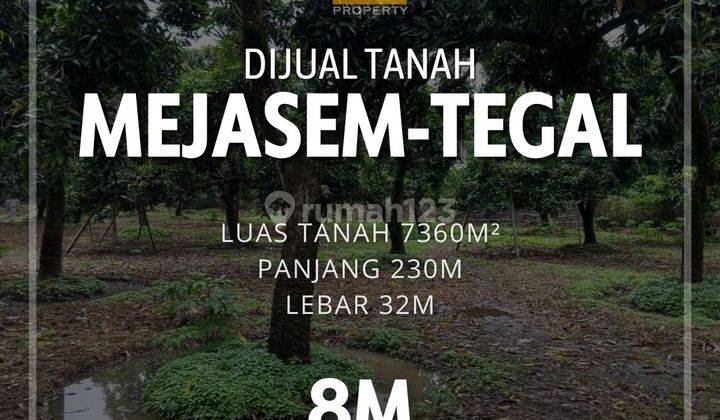 Dijual Tanah Di Mejasem Tegal  1